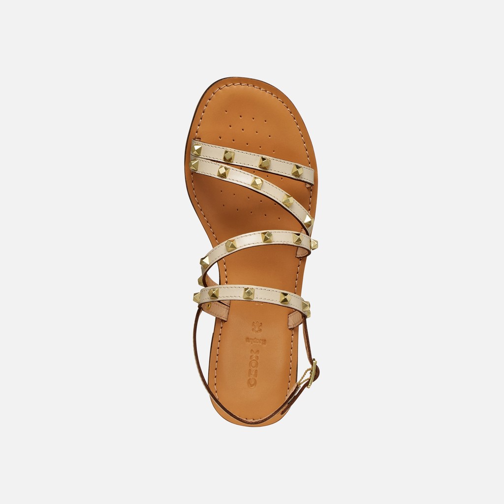 Flat sandals MADDALUSIA C WOMAN Papyrus - image number 5 | GEOX