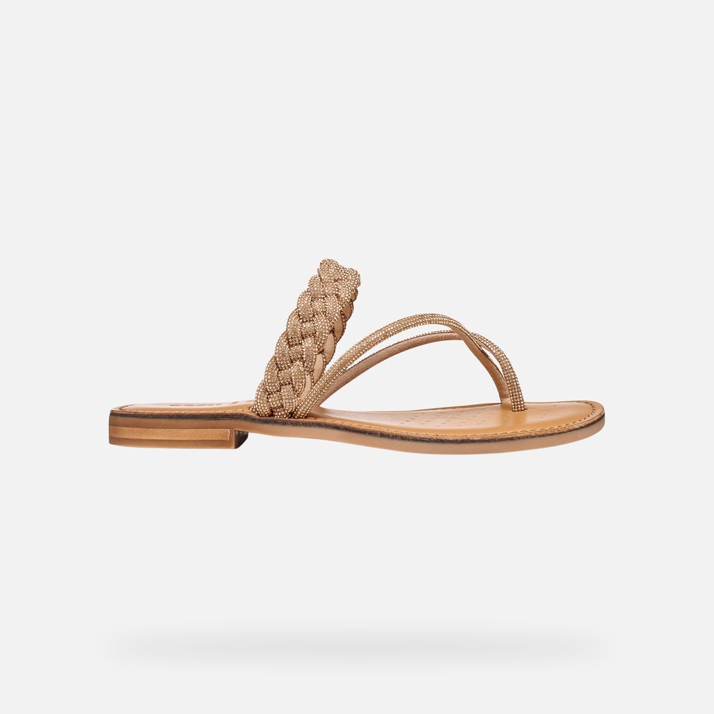 Maddalusia C Femme Champagne