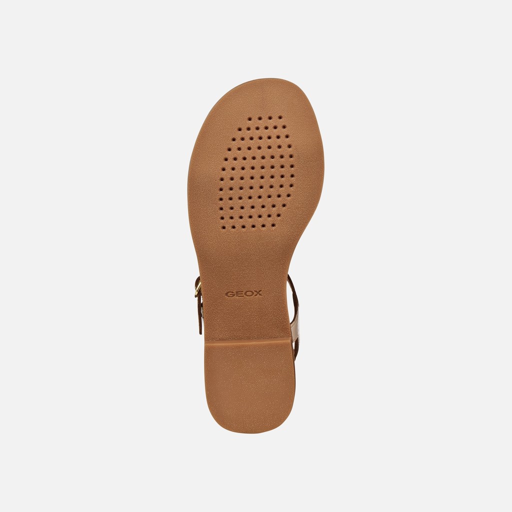 Sandales basses MADDALUSIA C FEMME Champagne/Or clair - image number 6 | GEOX