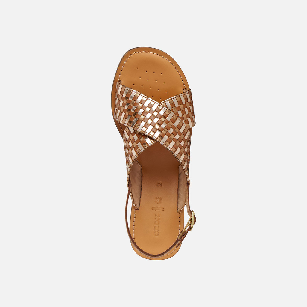 Flat sandals MADDALUSIA C WOMAN Camel/Bronze - image number 5 | GEOX