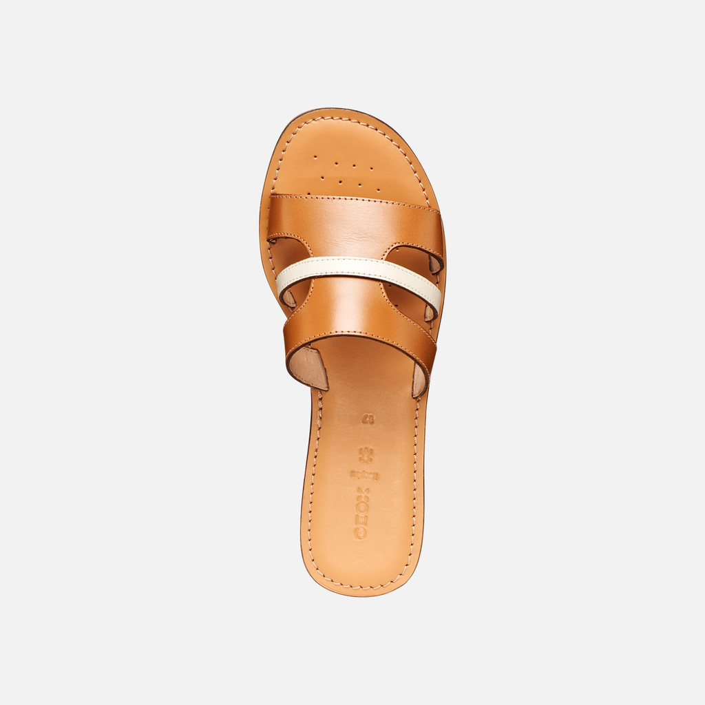 Slippers MADDALUSIA C WOMAN Camel/Papyrus - image number 5 | GEOX