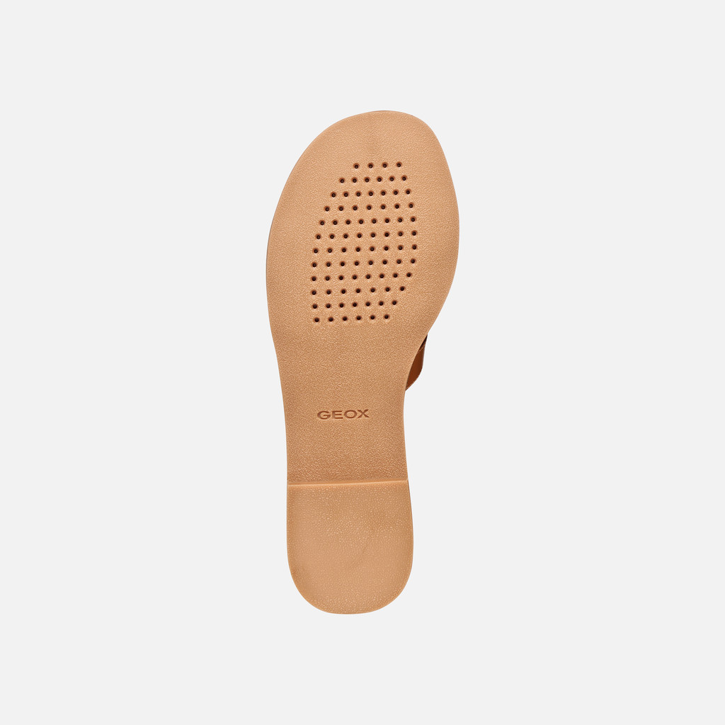 Slippers MADDALUSIA C WOMAN Camel/Papyrus - image number 6 | GEOX