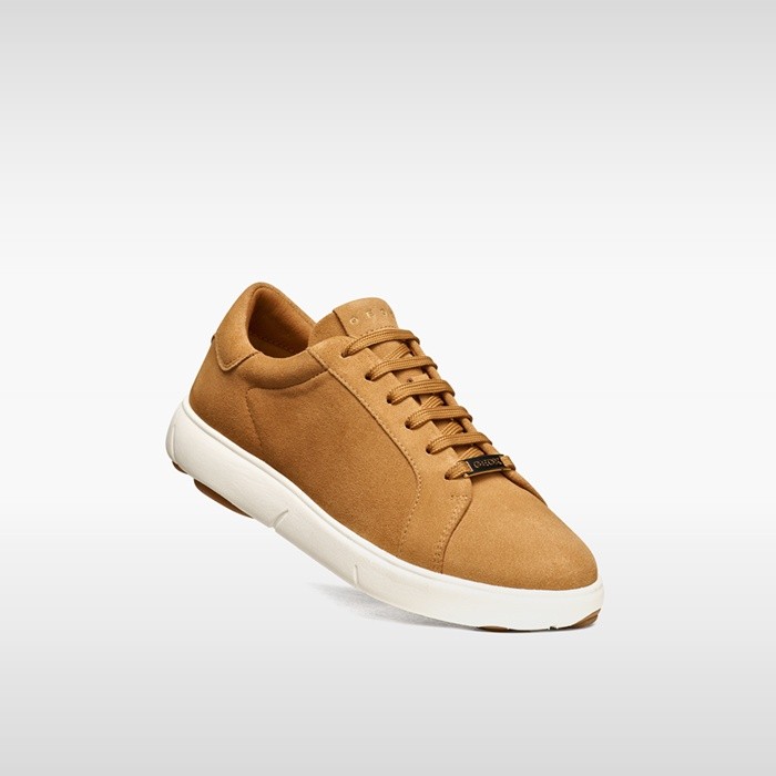 Low top sneakers NEBULA 2.0 C WOMAN Whisky | GEOX