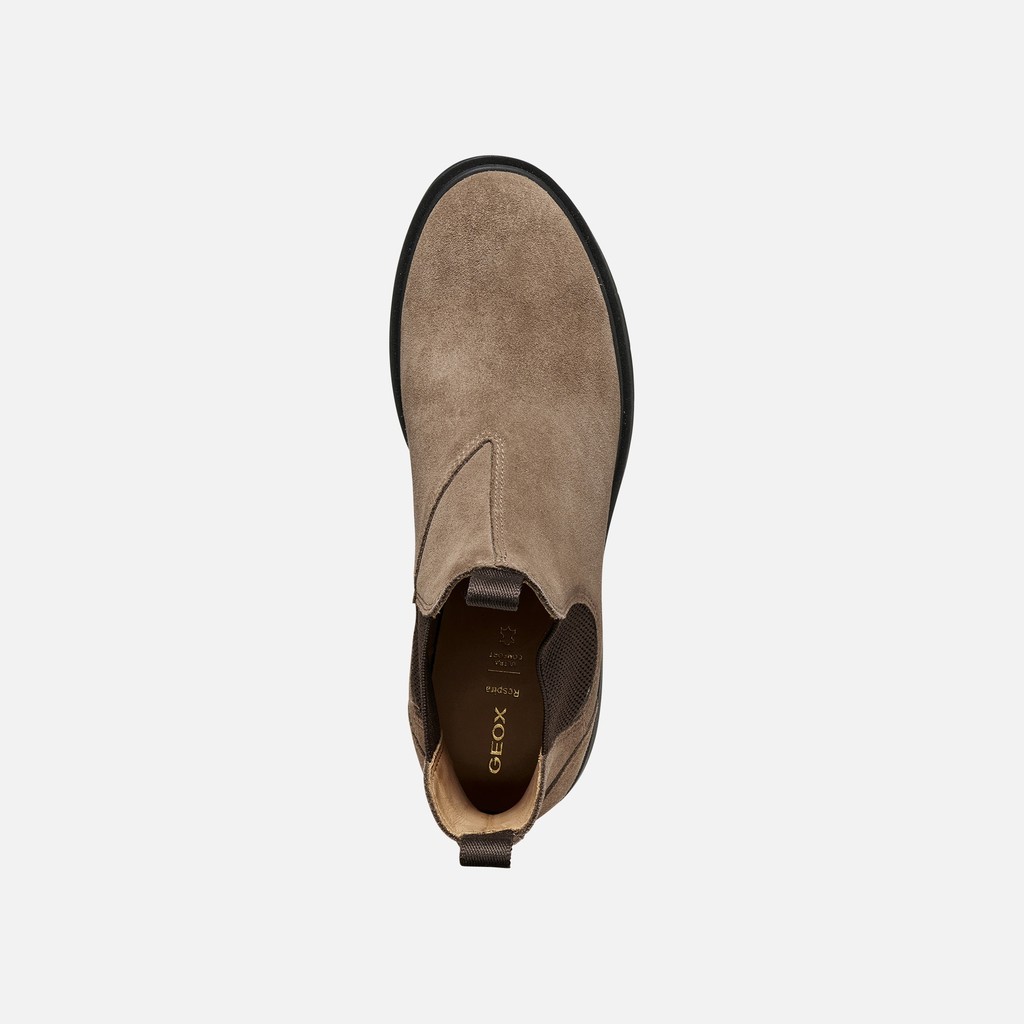Chelsea boots SPHERICA EC1 B WOMAN Taupe/Chocolate - image number 5 | GEOX