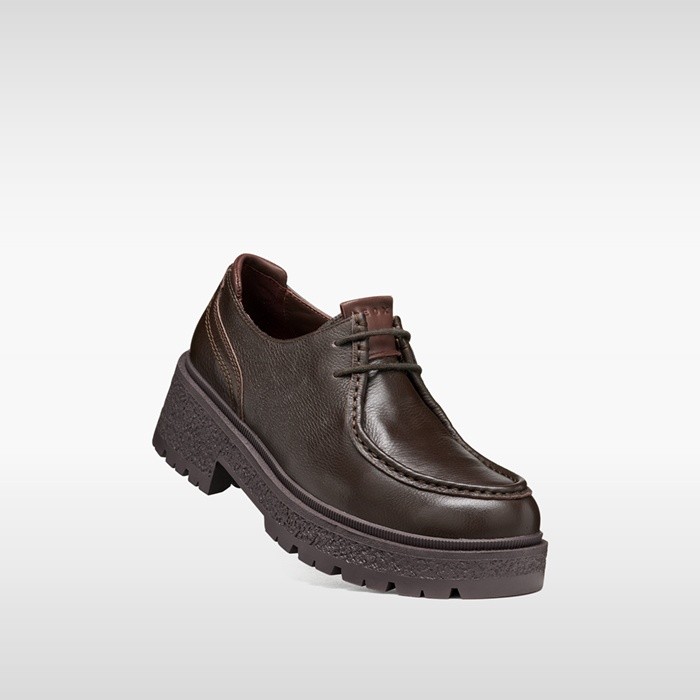 Lace up dress shoes EIVETTE WOMAN Chocolate | GEOX