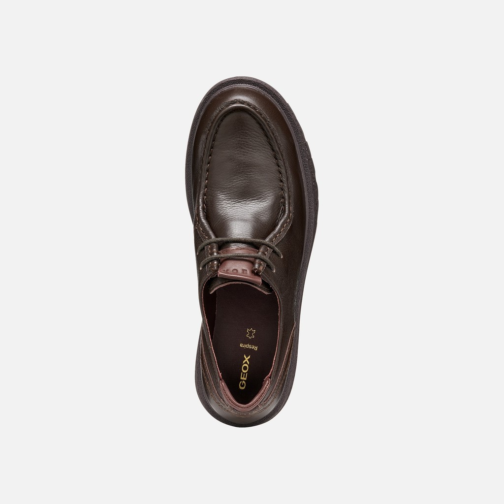 Lace up dress shoes EIVETTE WOMAN Chocolate - image number 6 | GEOX