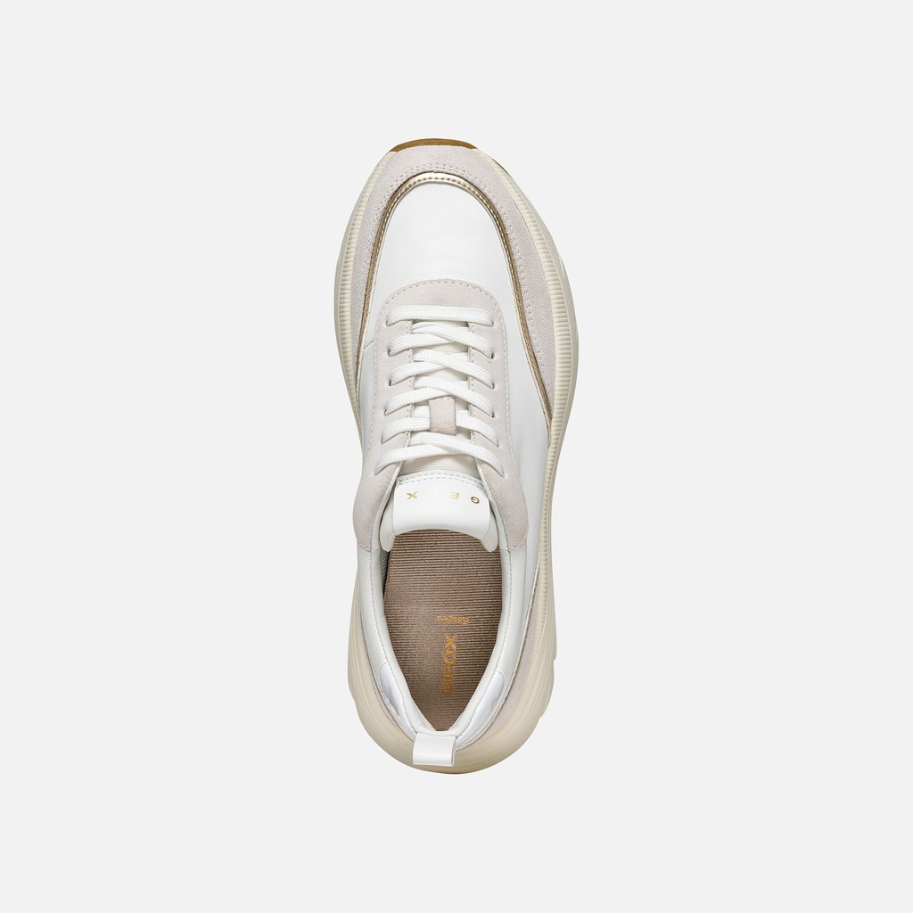 Low top sneakers DIAMANTA WOMAN White/Off White - image number 5 | GEOX