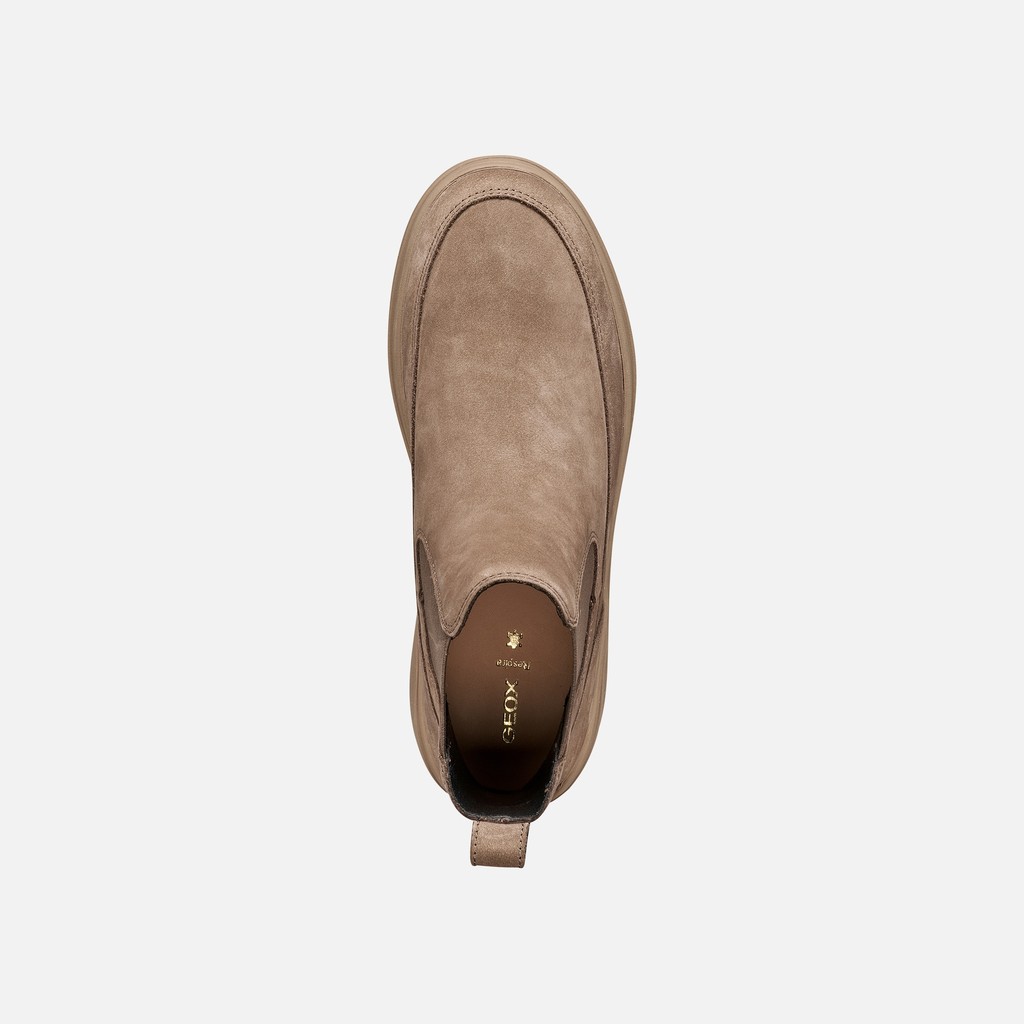 Bottines Chelsea SPHERICA ECUB-2 FEMME Taupe - image number 5 | GEOX