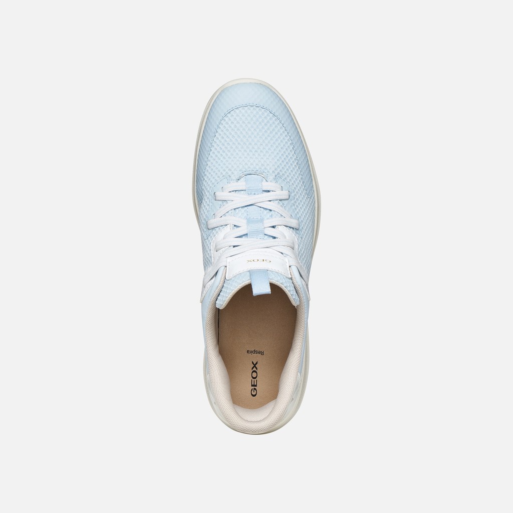 SNEAKERS PLUMMERY PLUS FEMME Bleu ciel clair/Blanc - image number 5 | GEOX