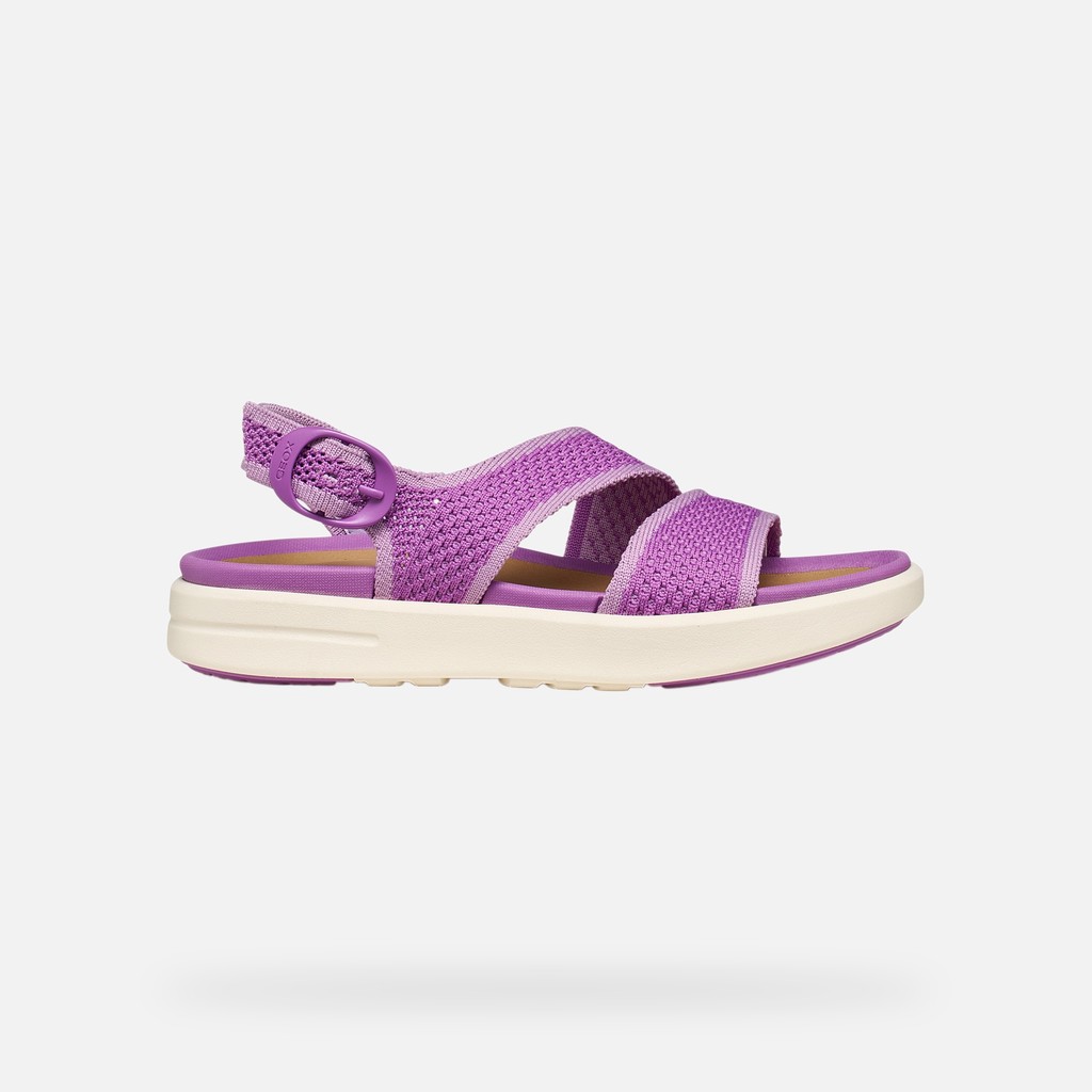 SANDALS CLIMASANDAL SPRT WOMAN Purple - image number 1 | GEOX
