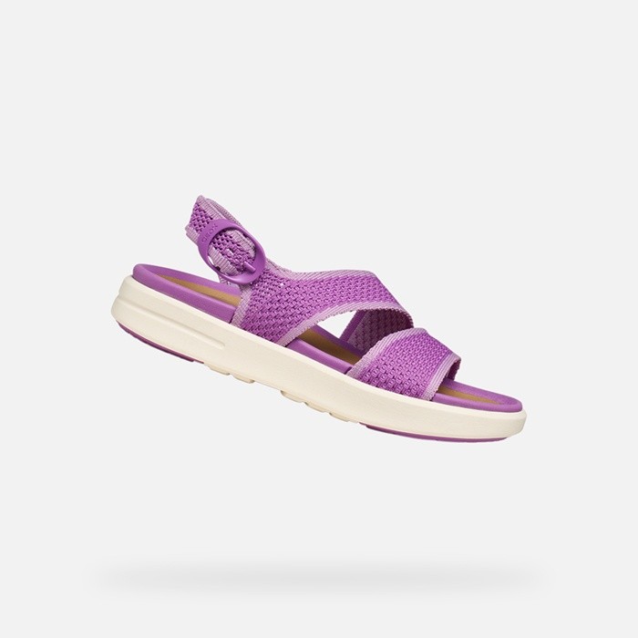 Sandals CLIMASANDAL SPRT WOMAN Purple | GEOX