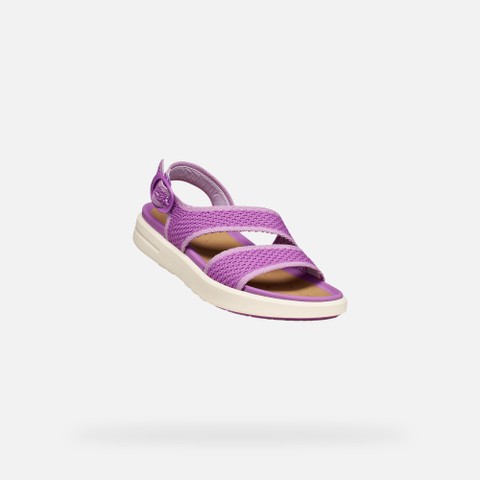 SANDALS CLIMASANDAL SPRT WOMAN Purple - image number 4 | GEOX