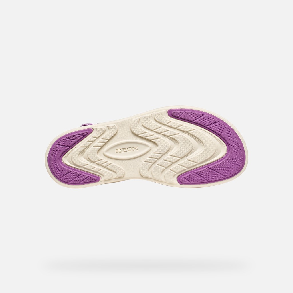 SANDALS CLIMASANDAL SPRT WOMAN Purple - image number 6 | GEOX