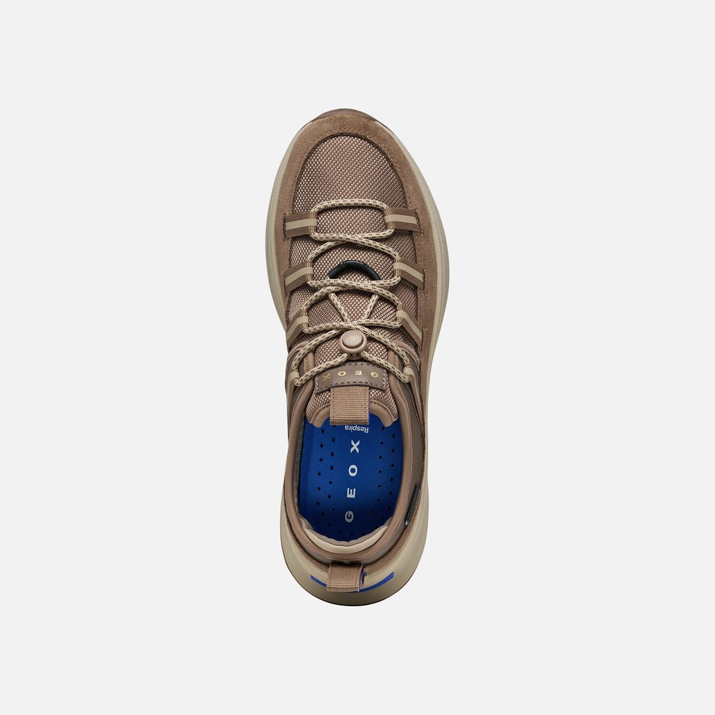 Sneakers imperm&eacute;ables GXRN-03 ABX FEMME Taupe - image number 6 | GEOX