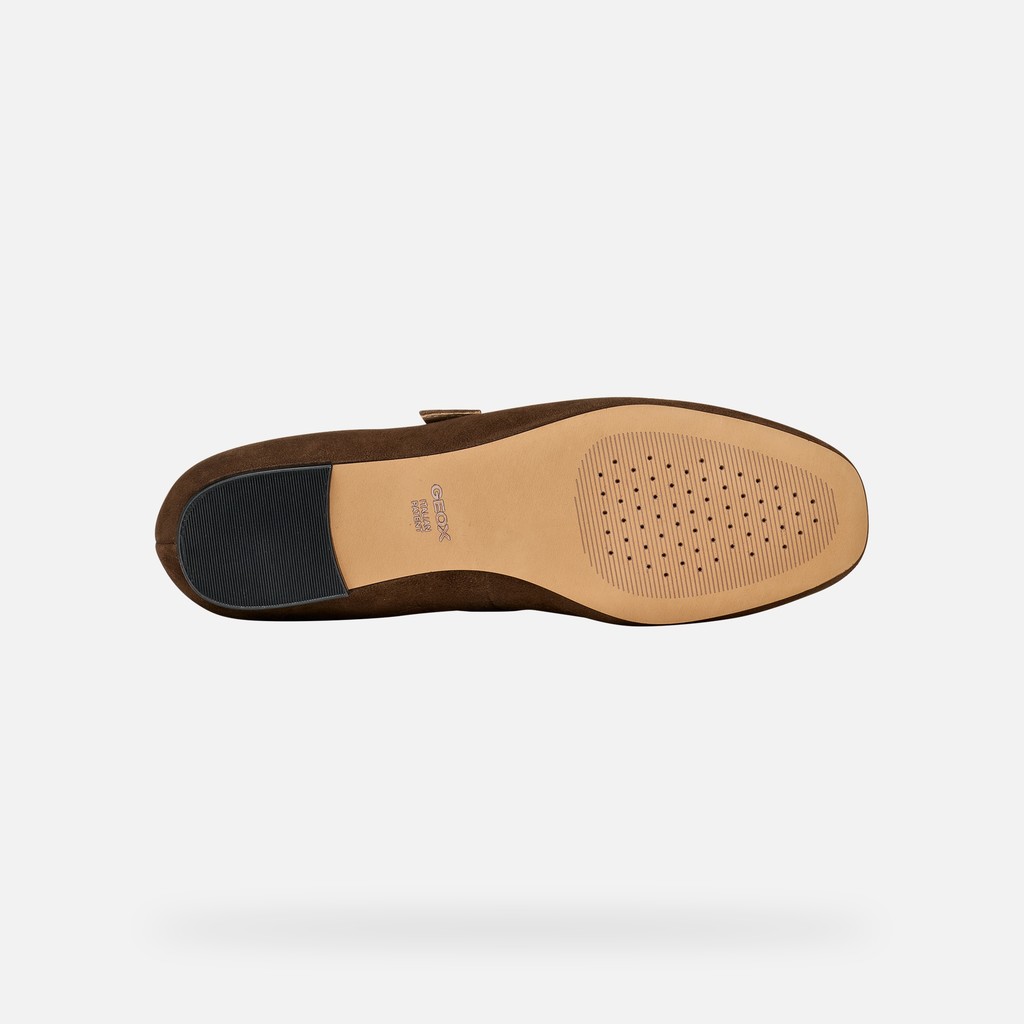 Leather ballet flats with strap AZLEA WOMAN Dark Brown - image number 6 | GEOX