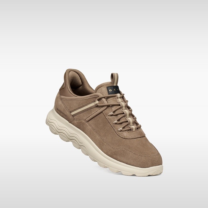 Slip in sneakers SPHERICA PLUS   WOMAN Taupe | GEOX