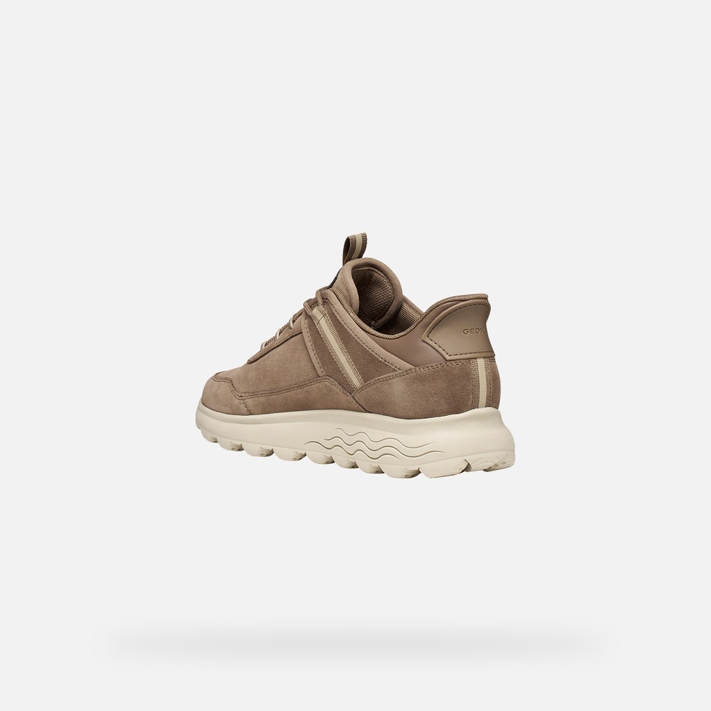 Slip in sneakers SPHERICA PLUS   WOMAN Taupe - image number 3 | GEOX