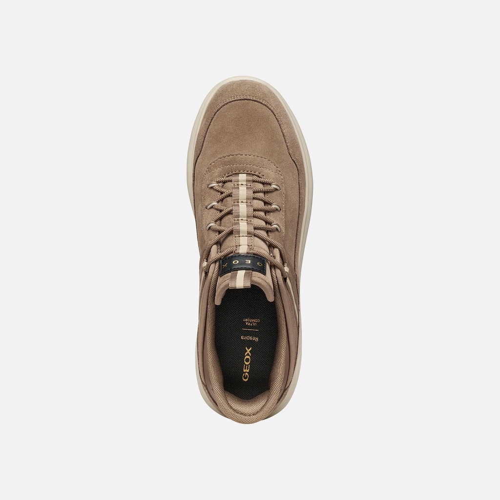 Slip in sneakers SPHERICA PLUS   WOMAN Taupe - image number 5 | GEOX