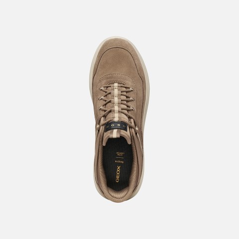 Slip in sneakers SPHERICA PLUS   WOMAN Taupe - image number 5 | GEOX