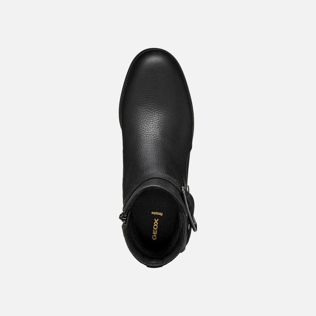 Stiefeletten aus Leder CAMEXIA   DAME Schwarz - image number 6 | GEOX