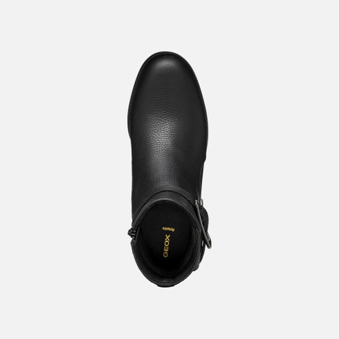 Stiefeletten aus Leder CAMEXIA   DAME Schwarz - image number 6 | GEOX