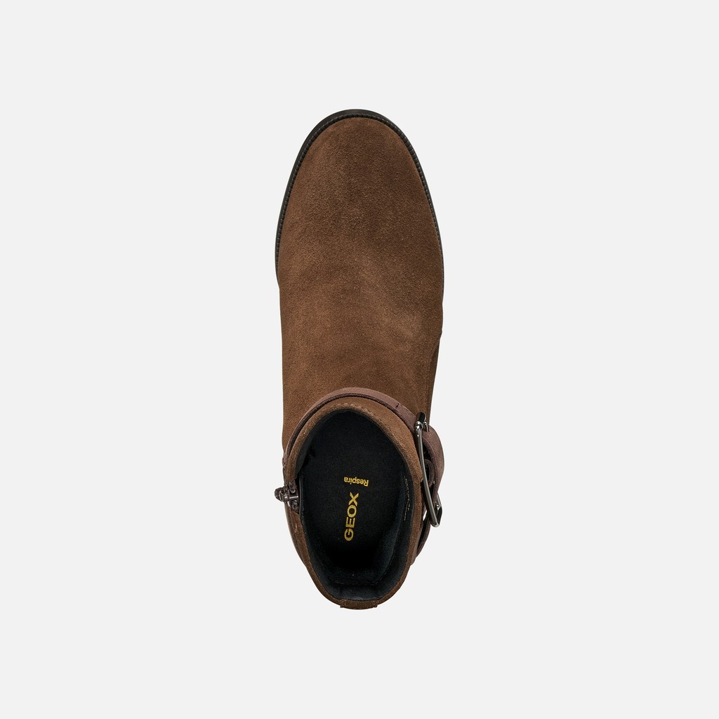 Leather ankle boots CAMEXIA   WOMAN Dark brown/Mahogany - image number 6 | GEOX