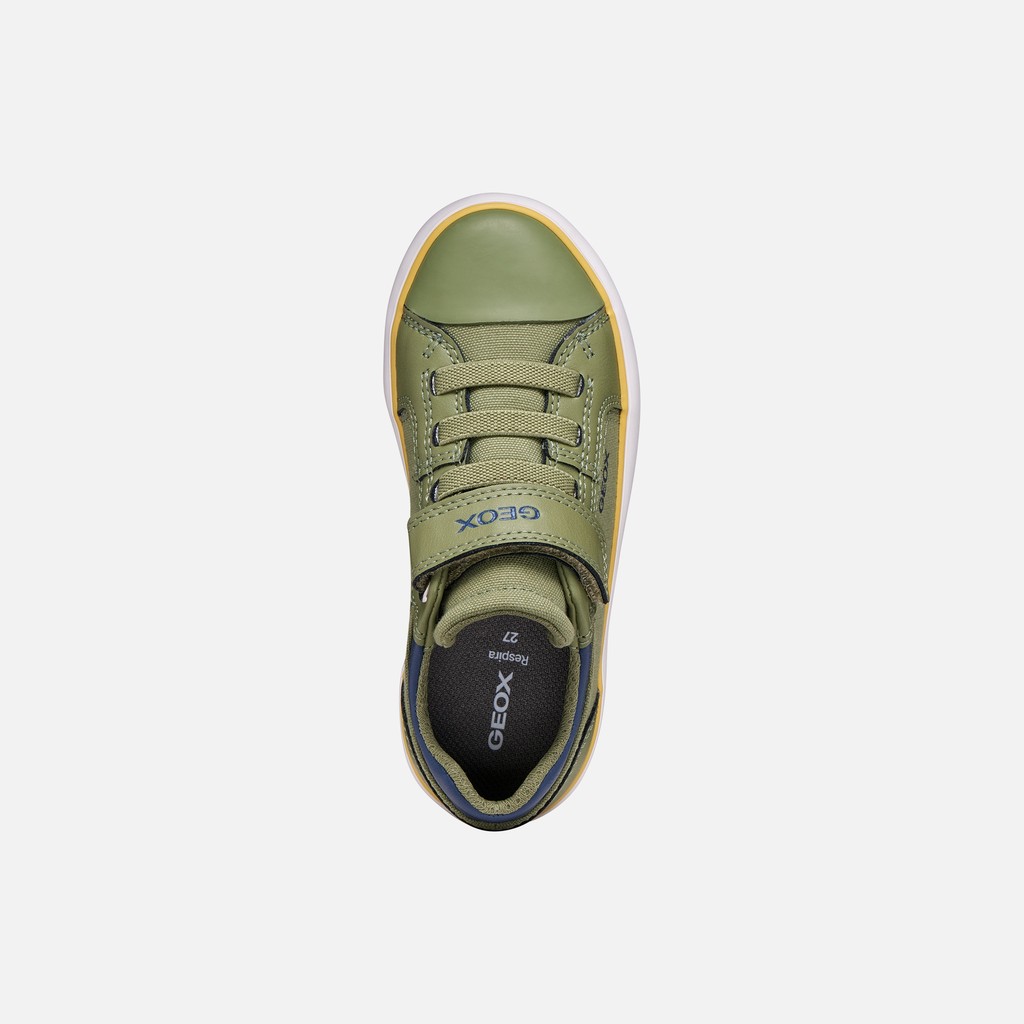 Low top sneakers GISLI BOY Light Green/Navy - image number 5 | GEOX