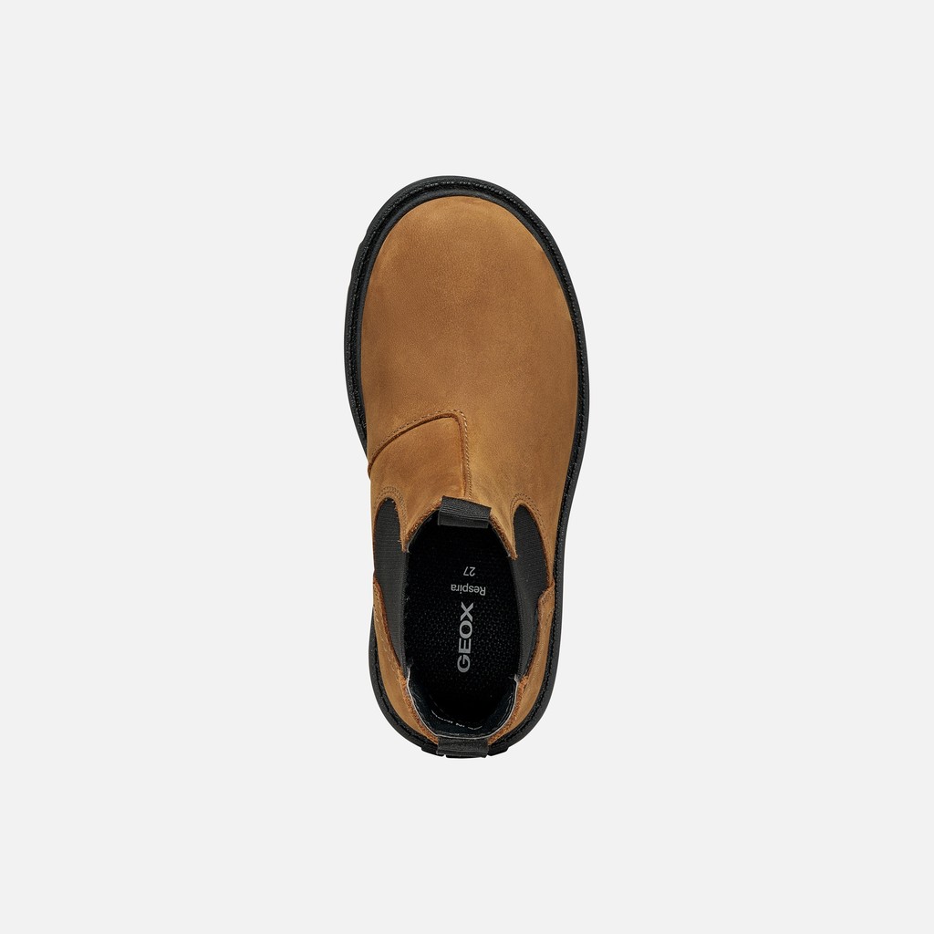Stiefeletten SHAYLAX JUNIOR Cognac/Schwarz - image number 5 | GEOX