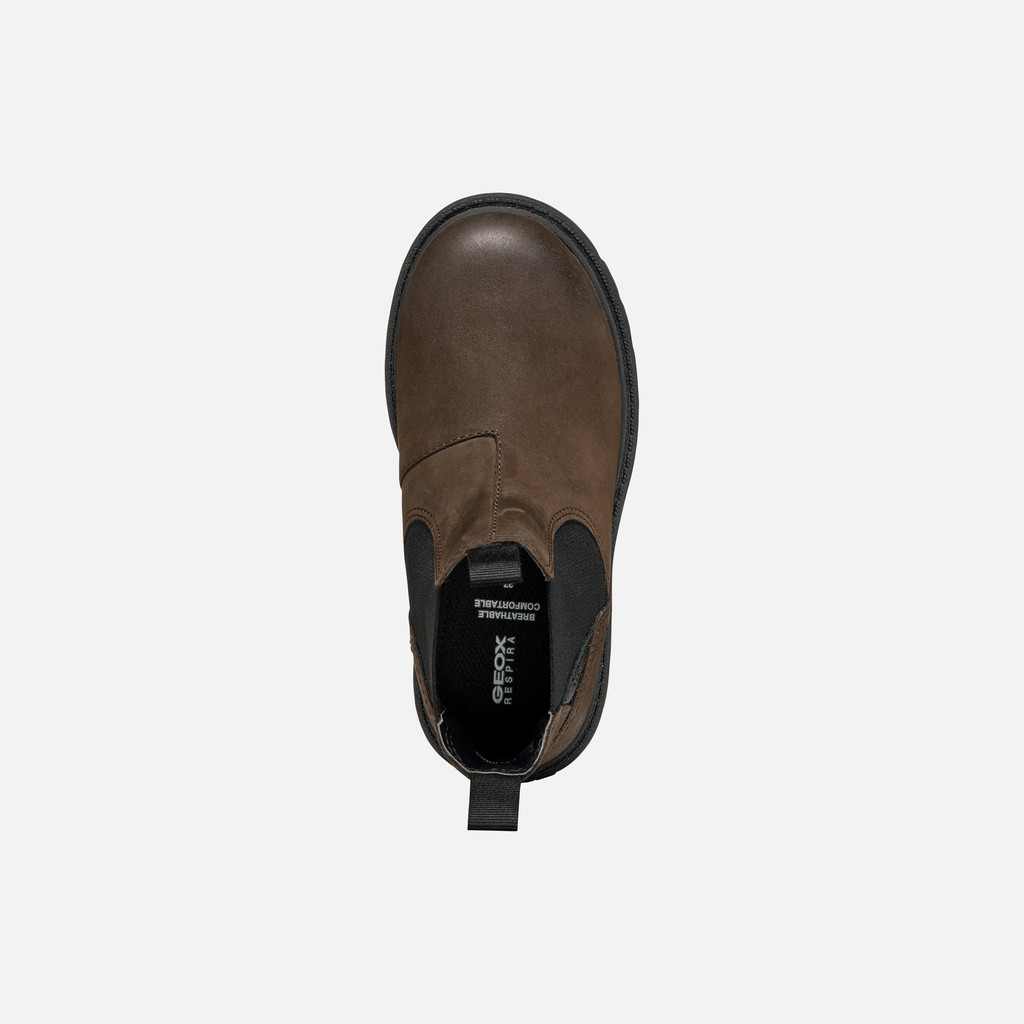 Chelsea boots SHAYLAX JUNIOR Coffee/Black - image number 5 | GEOX