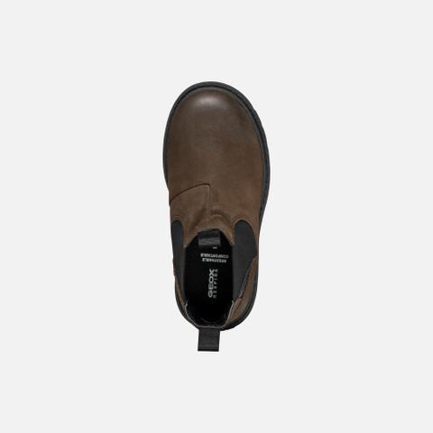 Chelsea boots SHAYLAX JUNIOR Coffee/Black - image number 5 | GEOX