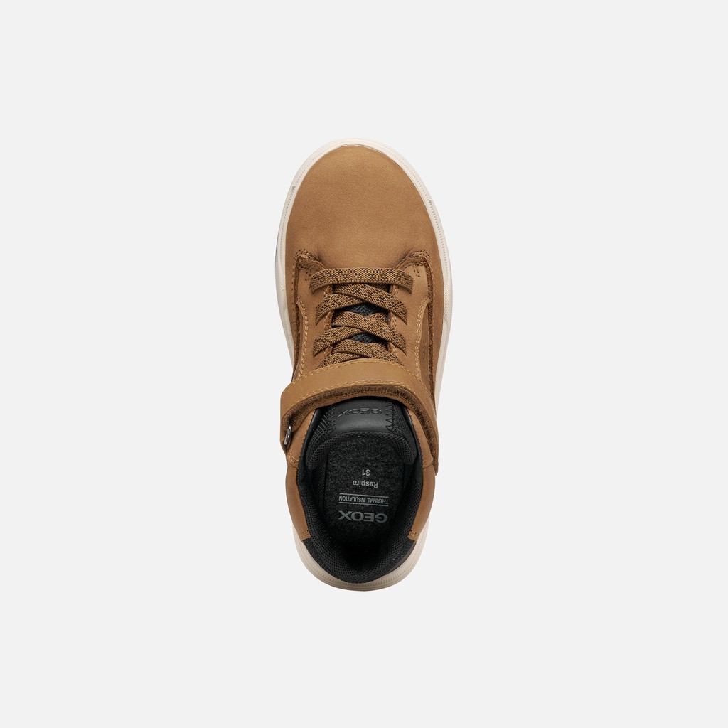 Waterproof ankle boots BUNSHEE ABX BOY Brown - image number 5 | GEOX
