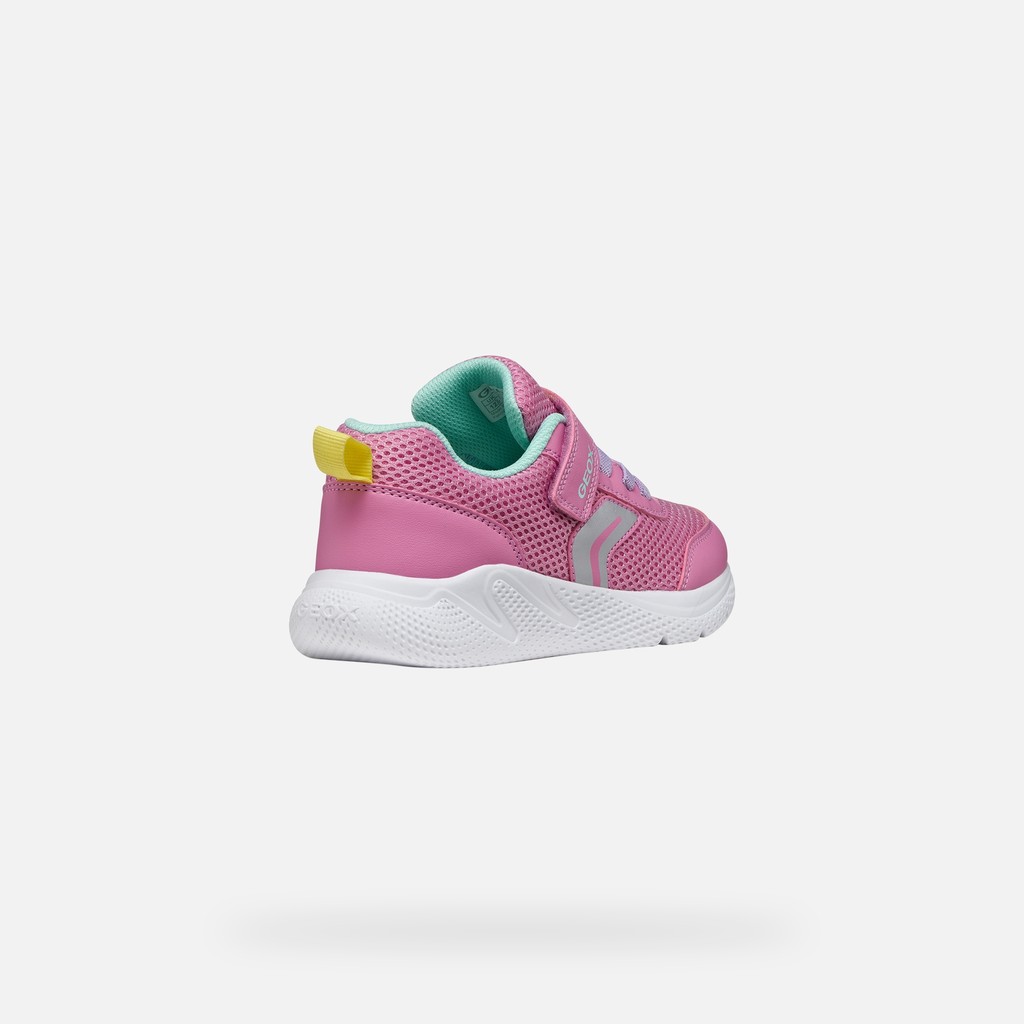 Canvas sneakers SPRINTYE JUNIOR Pink/Watersea - image number 4 | GEOX