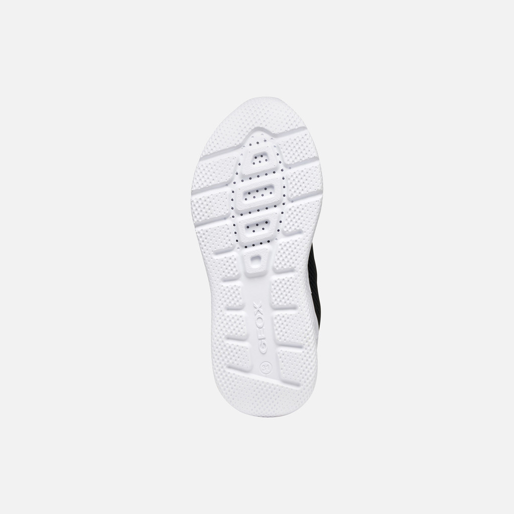 Low top sneakers SPRINTYE JUNIOR Black/Royal - image number 6 | GEOX