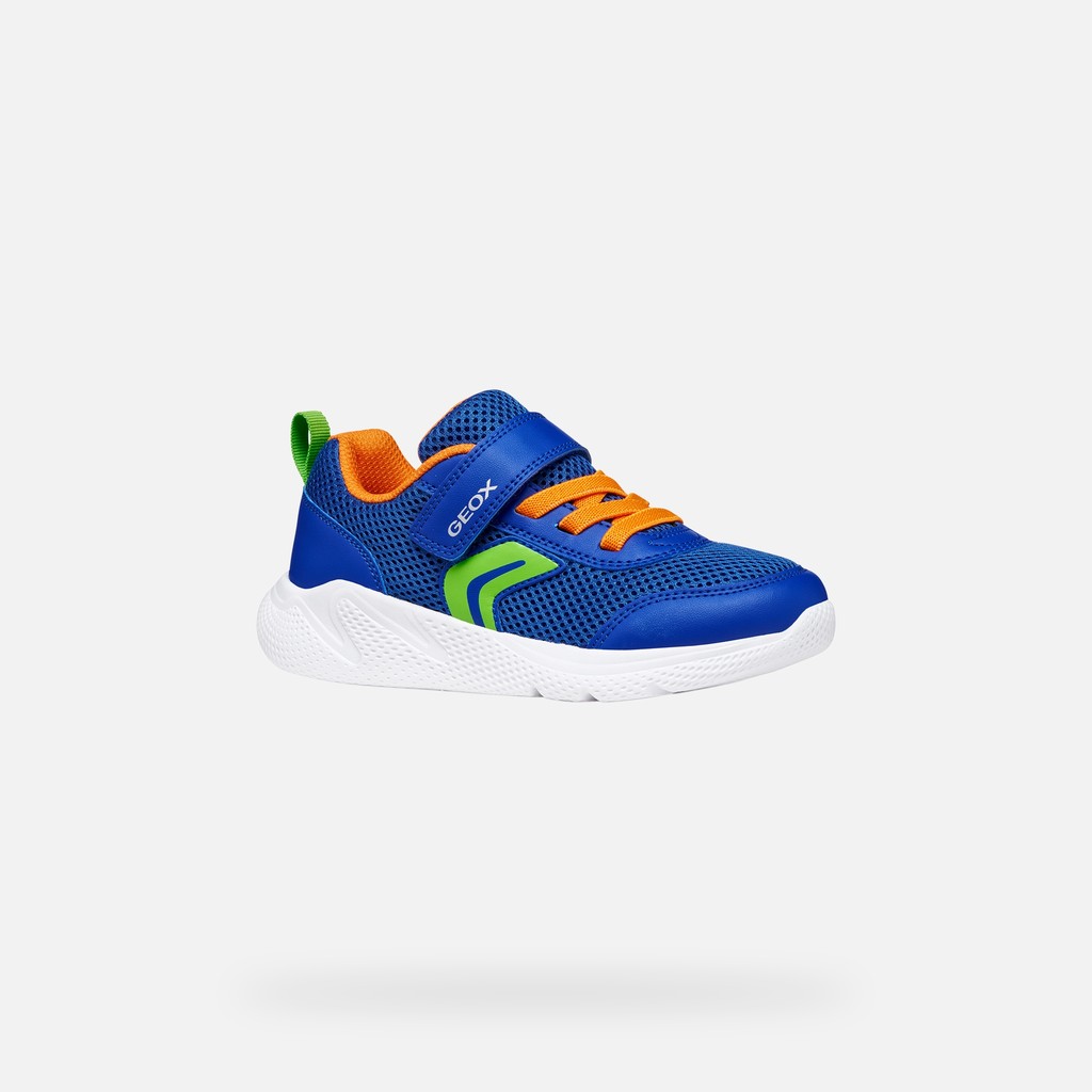 Caskets en toile SPRINTYE JUNIOR Bleu roi/Orange - image number 2 | GEOX
