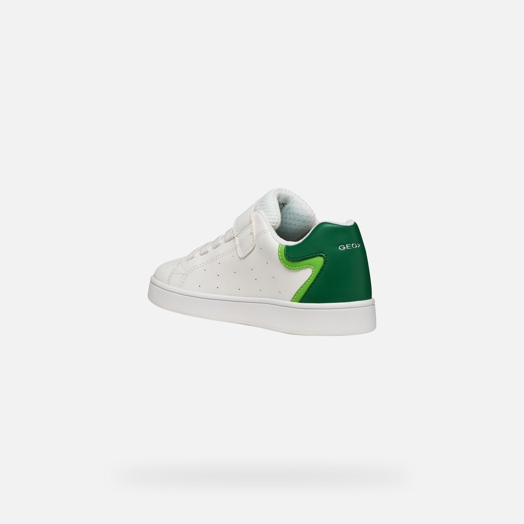 Low top sneakers ECLYPER JUNIOR White/Green - image number 3 | GEOX