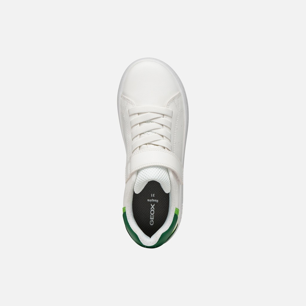 Low top sneakers ECLYPER JUNIOR White/Green - image number 5 | GEOX