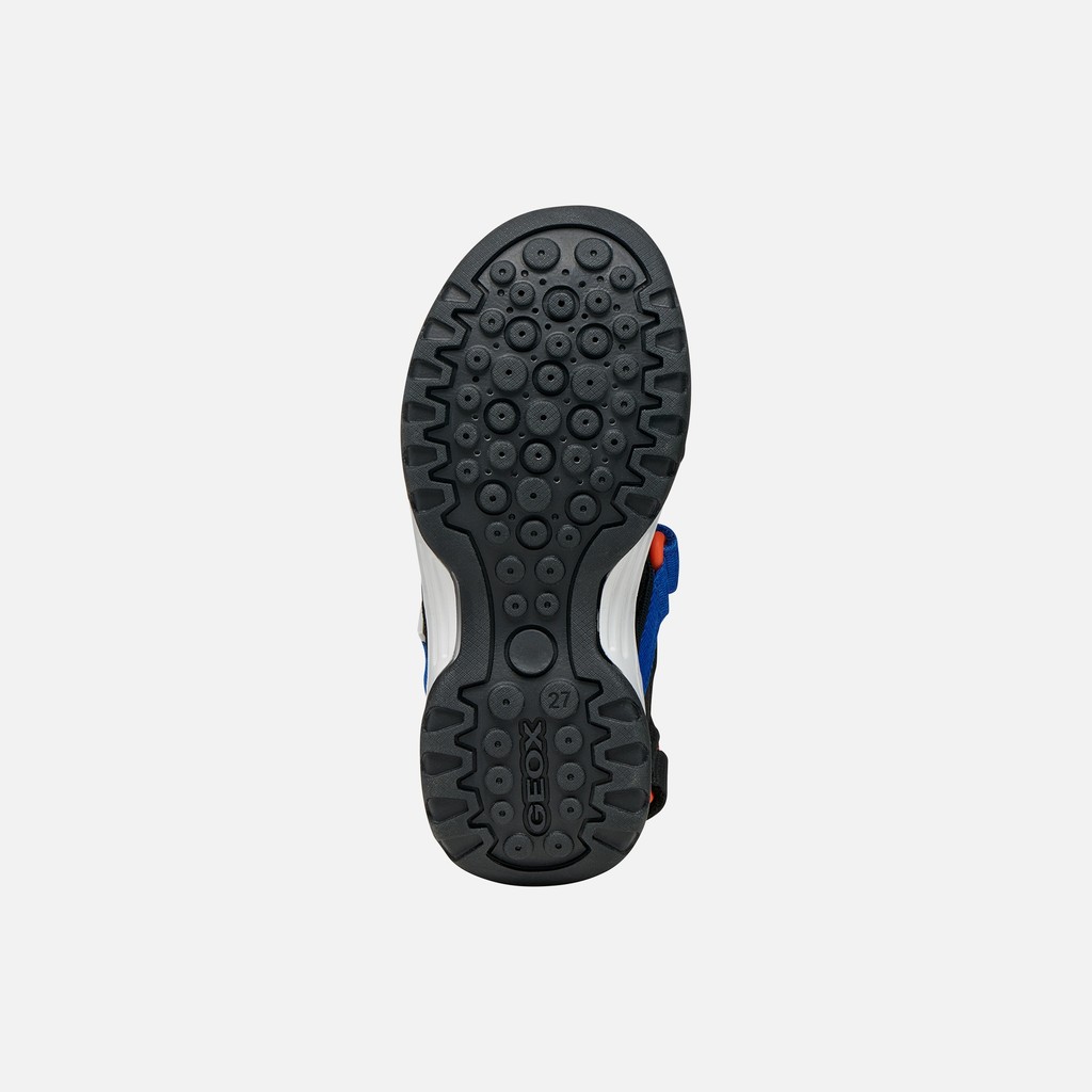 Sandals with straps BOREALIS   JUNIOR Black/Royal - image number 6 | GEOX