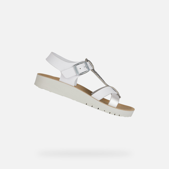 Geox