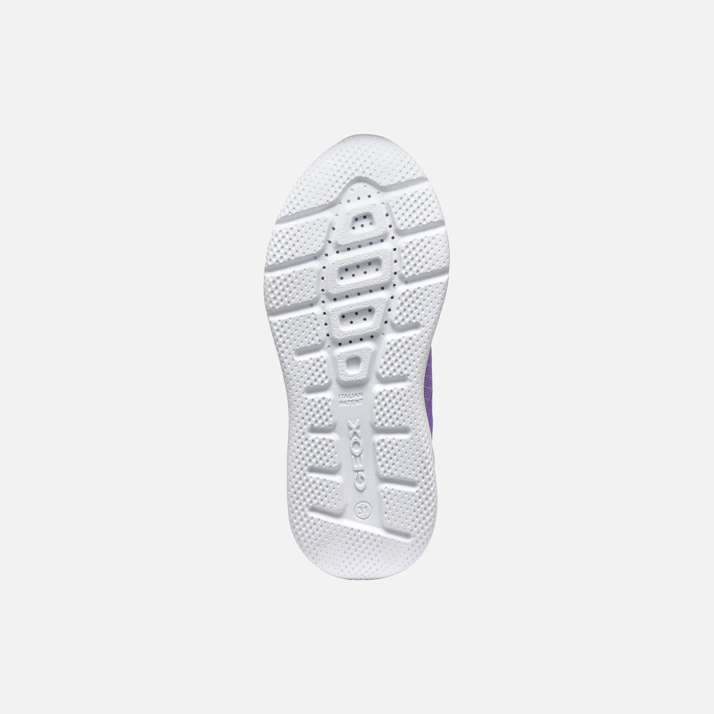 velcro shoes SPRINTYE JUNIOR Lilac - image number 6 | GEOX