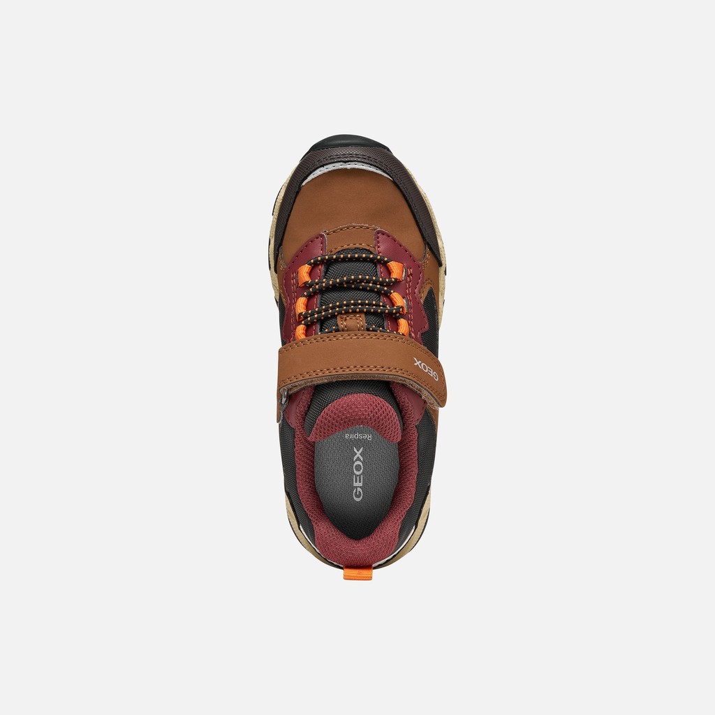 Waterproof trainers MAGNETAR ABX JUNIOR Brown/Bordeaux - image number 5 | GEOX