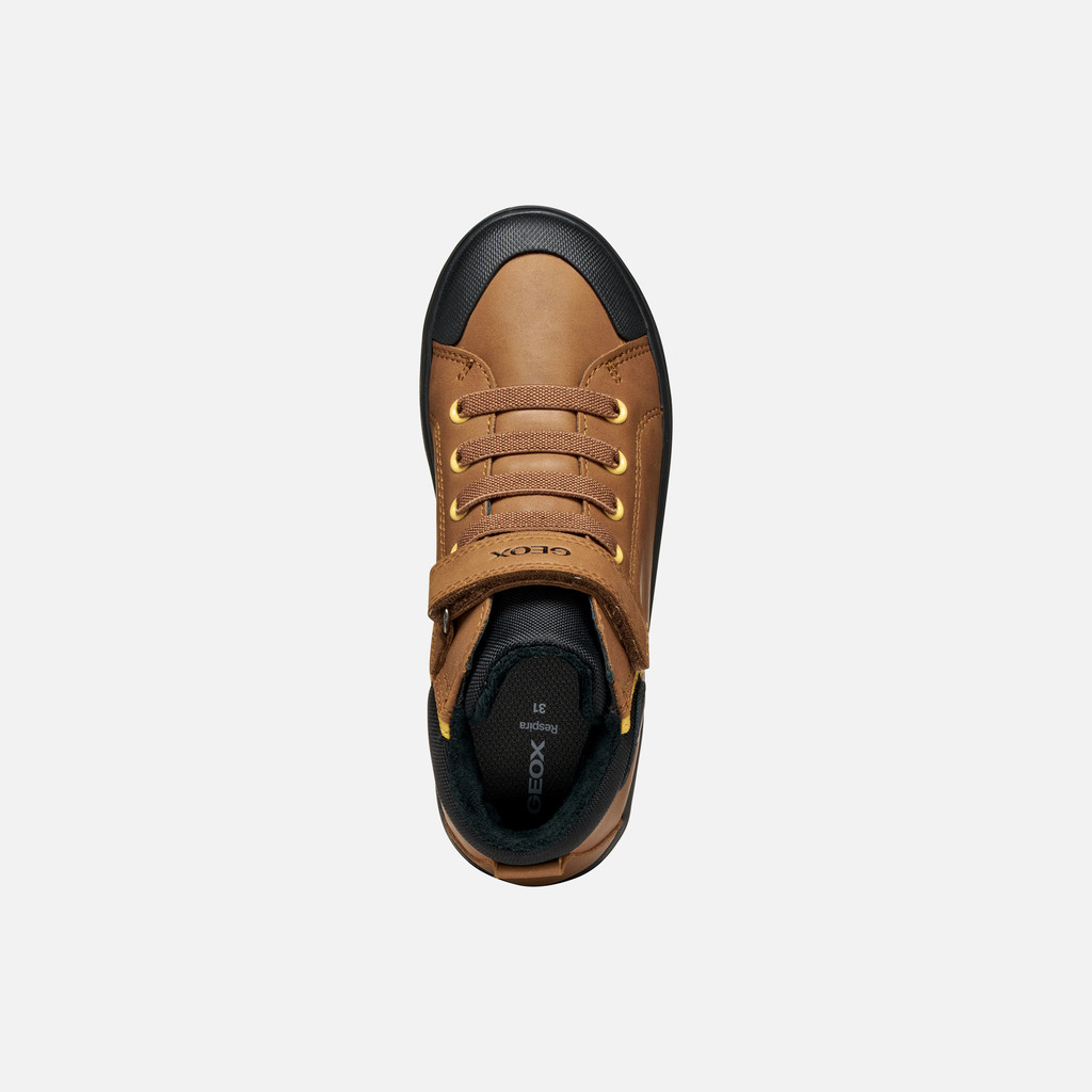 High top sneakers GISLI BOY Brown/Black - image number 5 | GEOX