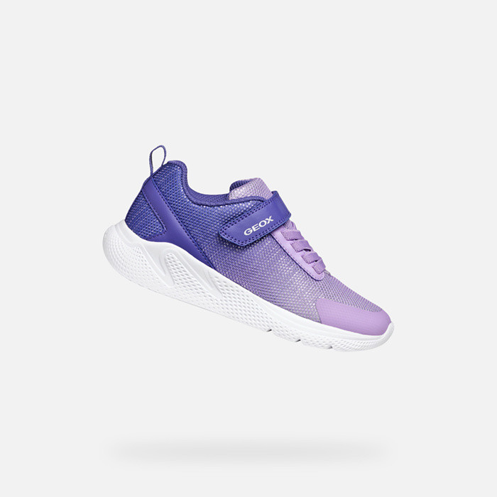 Low top sneakers SPRINTYE GIRL Dark violet/Lilac | GEOX