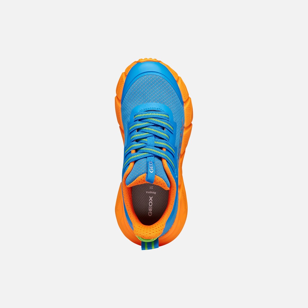Low top sneakers FLEXYPER FAST JUNIOR Light blue/Orange - image number 5 | GEOX