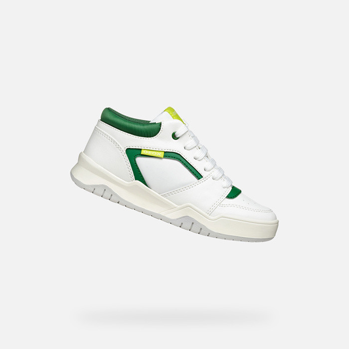 Low top sneakers PERTH BOY White/Green | GEOX