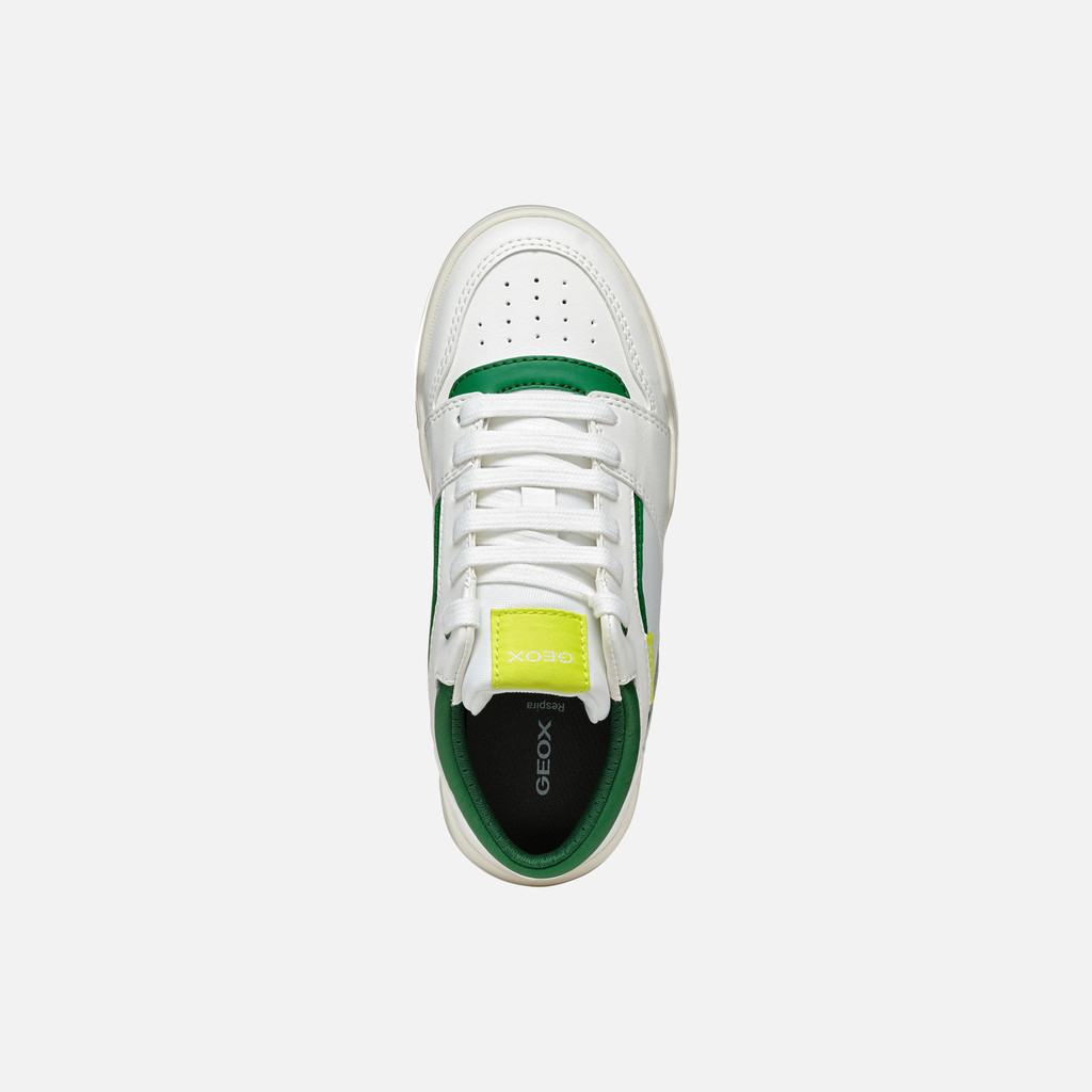 Low top sneakers PERTH BOY White/Green - image number 5 | GEOX