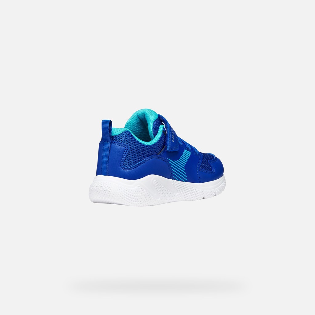 Canvas sneakers SPRINTYE BOY Royal/Light Blue - image number 4 | GEOX