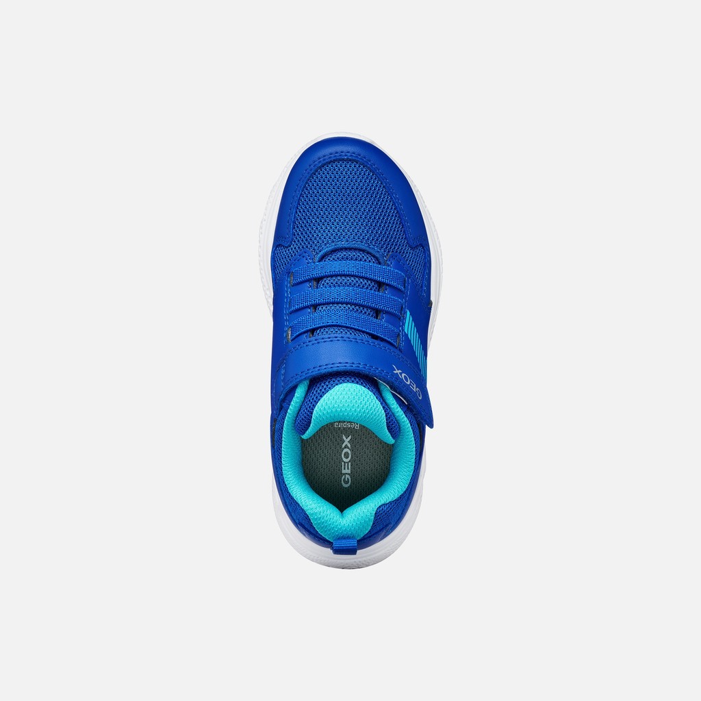 Canvas sneakers SPRINTYE BOY Royal/Light Blue - image number 5 | GEOX