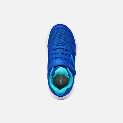 Canvas sneakers SPRINTYE BOY Royal/Light Blue - image number 5 | GEOX