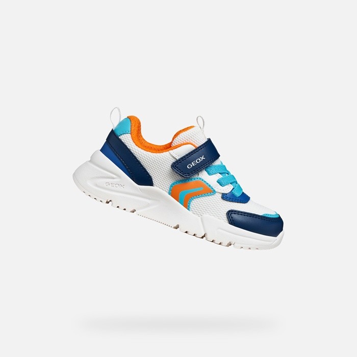 Niedrige Sneakers LOFTUS JUNGE Weiß/Azurblau | GEOX