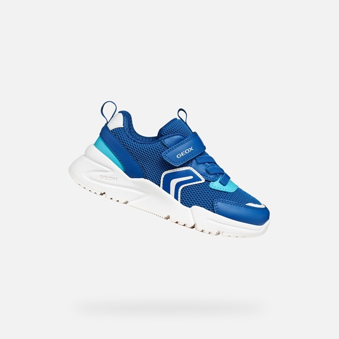 Niedrige Sneakers LOFTUS JUNGE Königsblau/Azurblau | GEOX